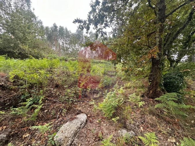 Terreno para Venda em Verim, Friande e Ajude Foto 12