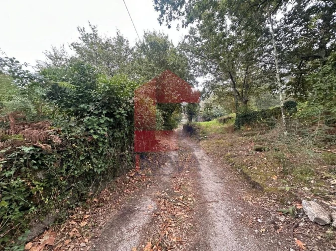Terreno para Venda em Verim, Friande e Ajude Foto 29