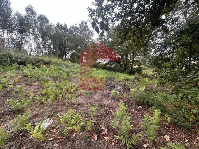 Terreno para Venda em Verim, Friande e Ajude Foto 14