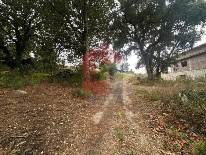 Terreno para Venda em Verim, Friande e Ajude Foto 24