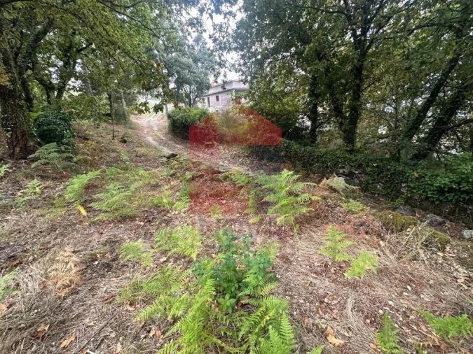 Terreno para Venda em Verim, Friande e Ajude Foto 11