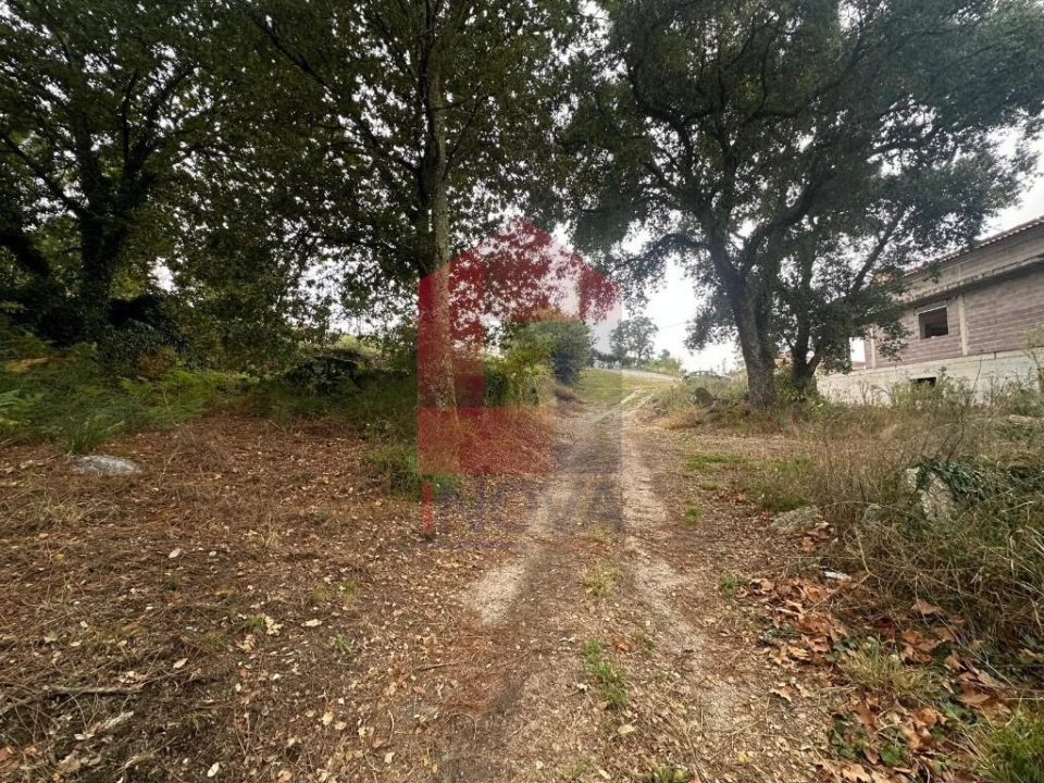 Terreno para Venda em Verim, Friande e Ajude Foto 24
