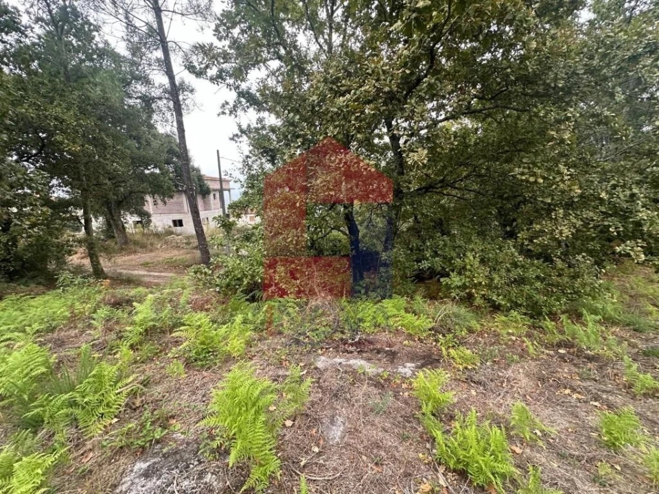 Terreno para Venda em Verim, Friande e Ajude Foto 17