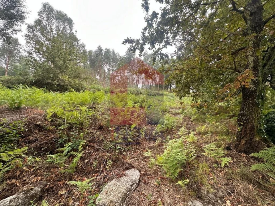 Terreno para Venda em Verim, Friande e Ajude Foto 22