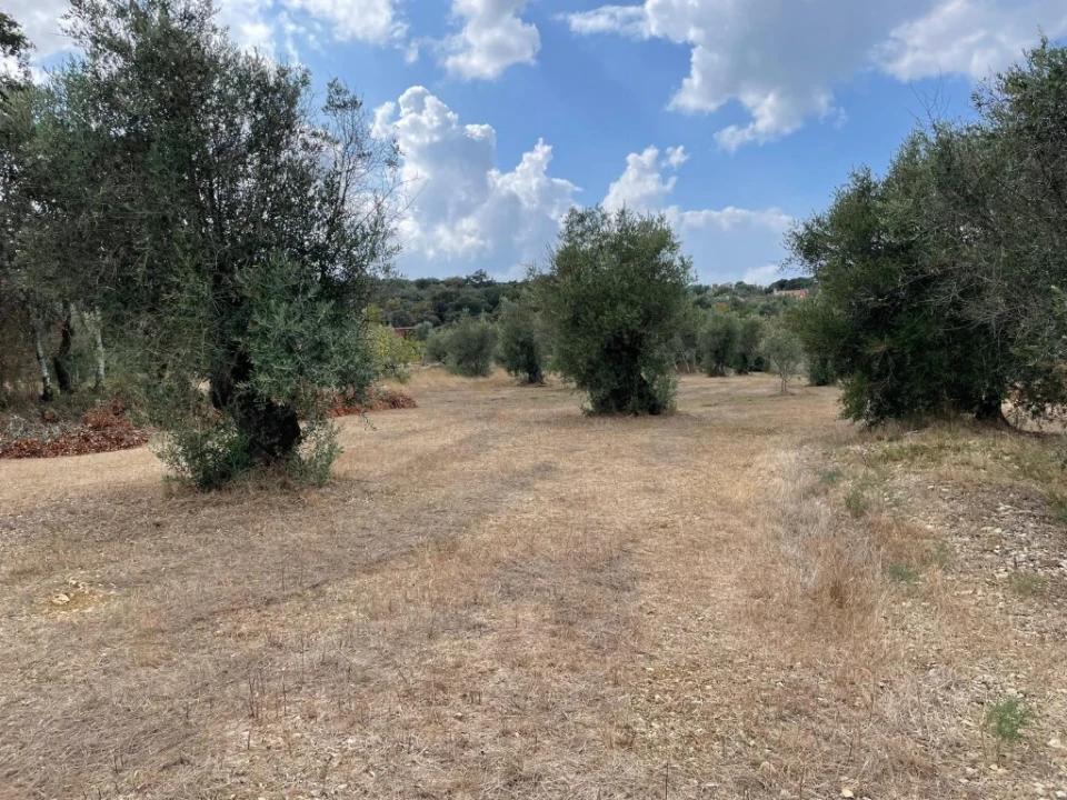 Moradia T3 para Venda em Nossa Senhora do Pranto Foto 10