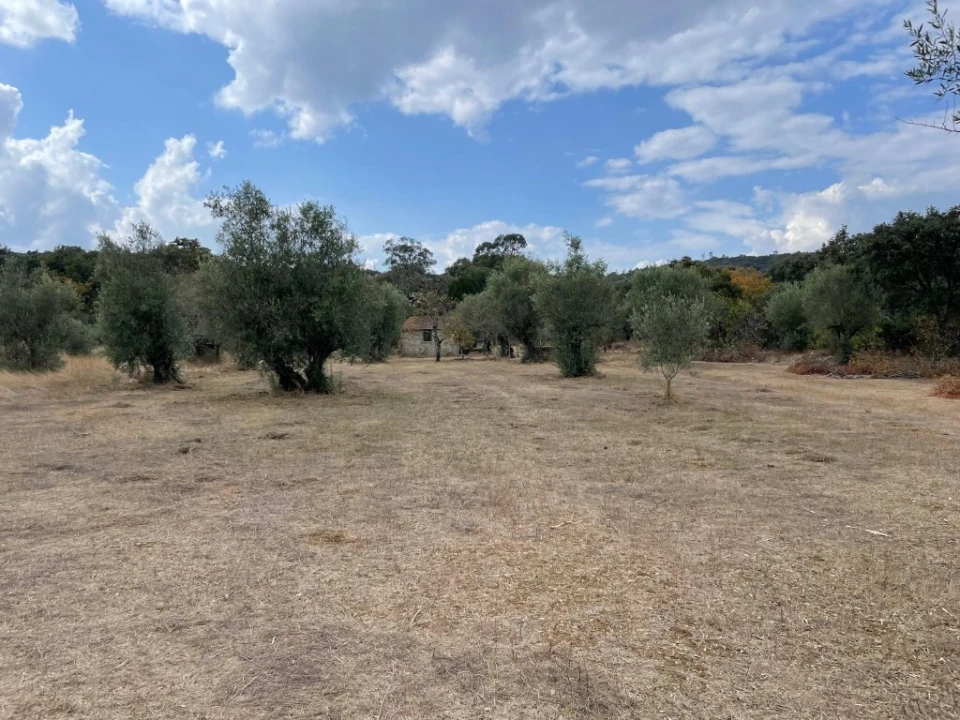 Moradia T3 para Venda em Nossa Senhora do Pranto Foto 9