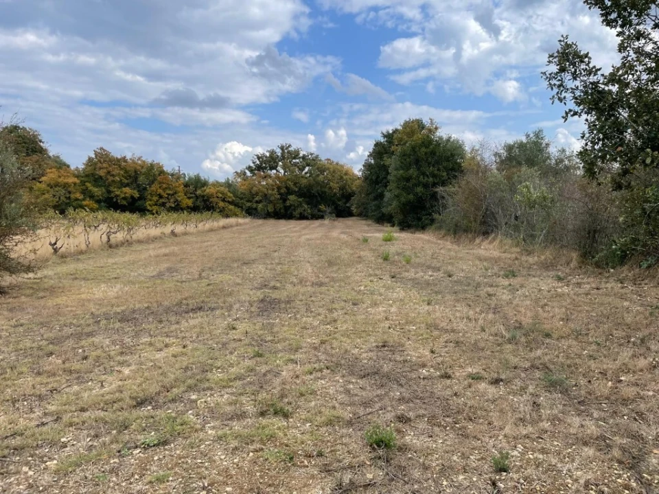 Moradia T3 para Venda em Nossa Senhora do Pranto Foto 12