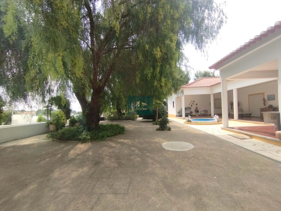 Quinta T5 para Venda em Vidigueira Foto 7