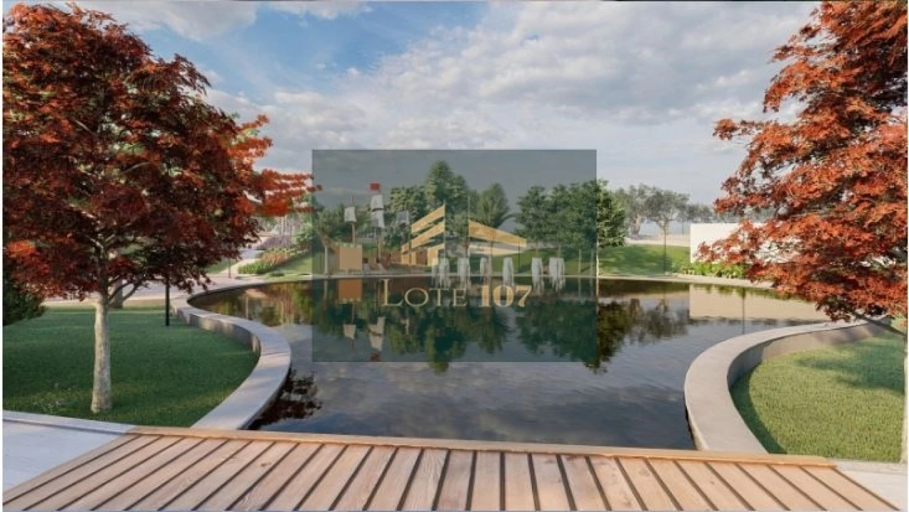 Quinta T5 para Venda em Vidigueira Foto 65