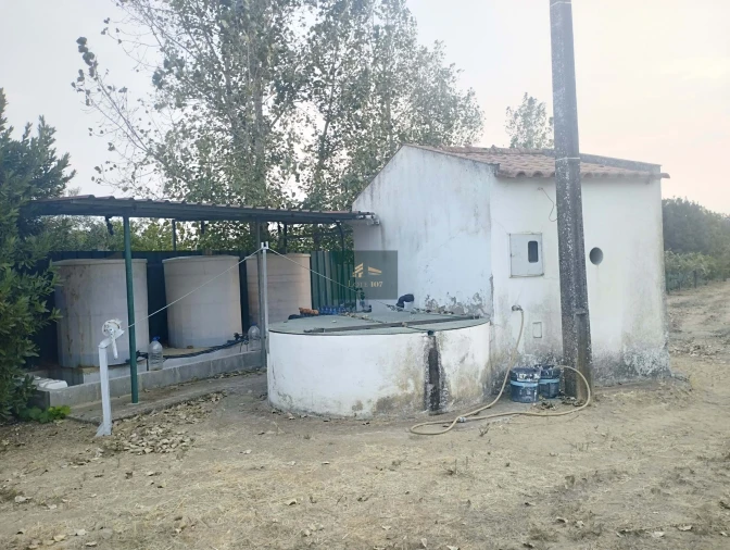 Quinta T5 para Venda em Vidigueira Foto 62