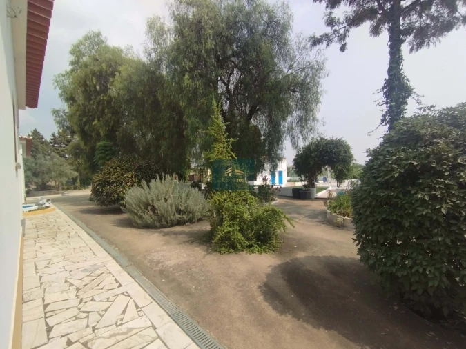 Quinta T5 para Venda em Vidigueira Foto 45