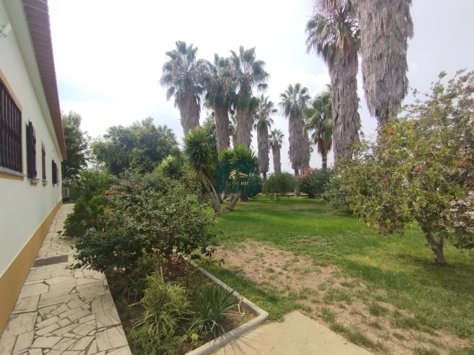 Quinta T5 para Venda em Vidigueira Foto 54