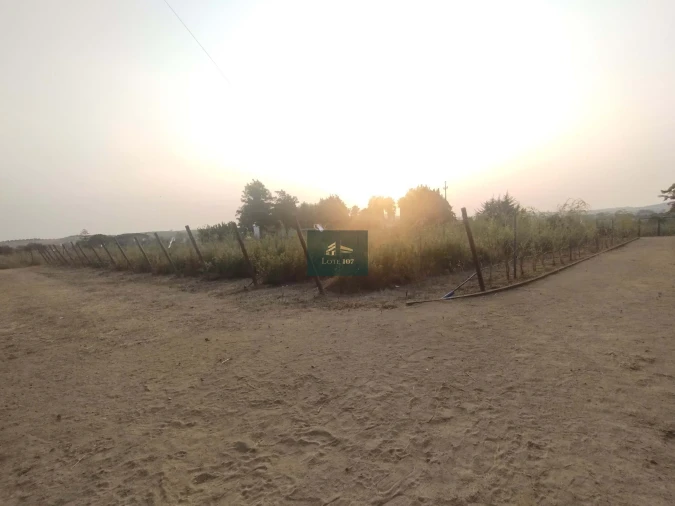 Quinta T5 para Venda em Vidigueira Foto 59