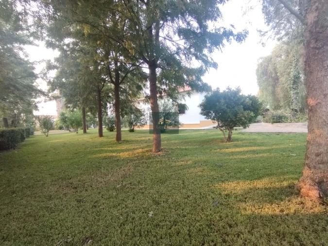 Quinta T5 para Venda em Vidigueira Foto 56