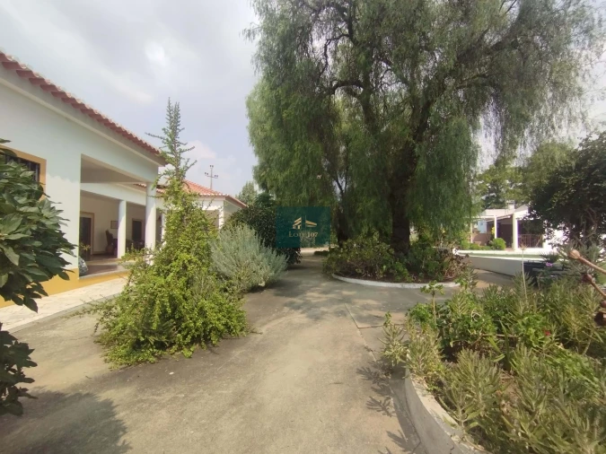 Quinta T5 para Venda em Vidigueira Foto 39