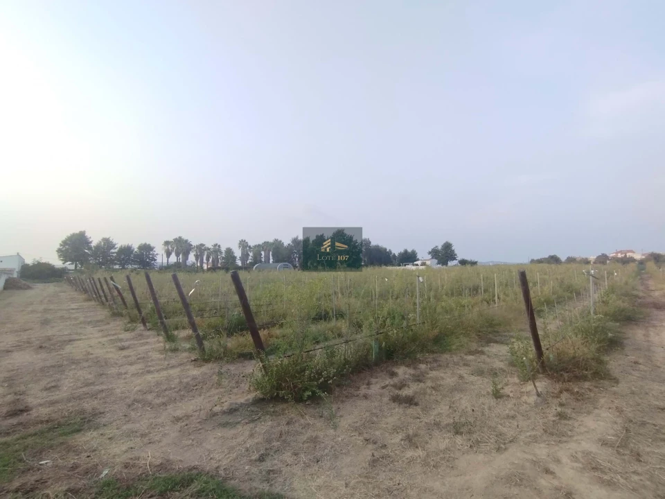 Quinta T5 para Venda em Vidigueira Foto 61