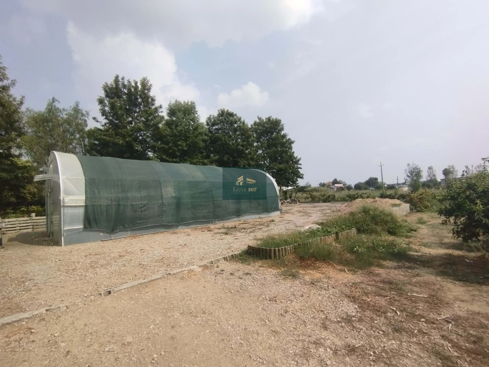 Quinta T5 para Venda em Vidigueira Foto 52