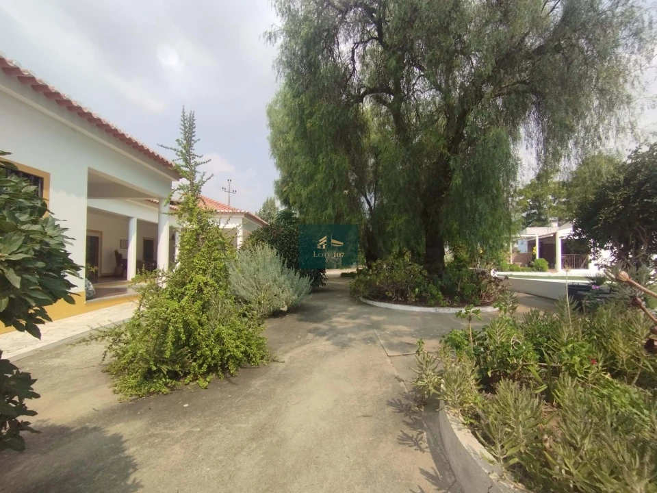 Quinta T5 para Venda em Vidigueira Foto 39