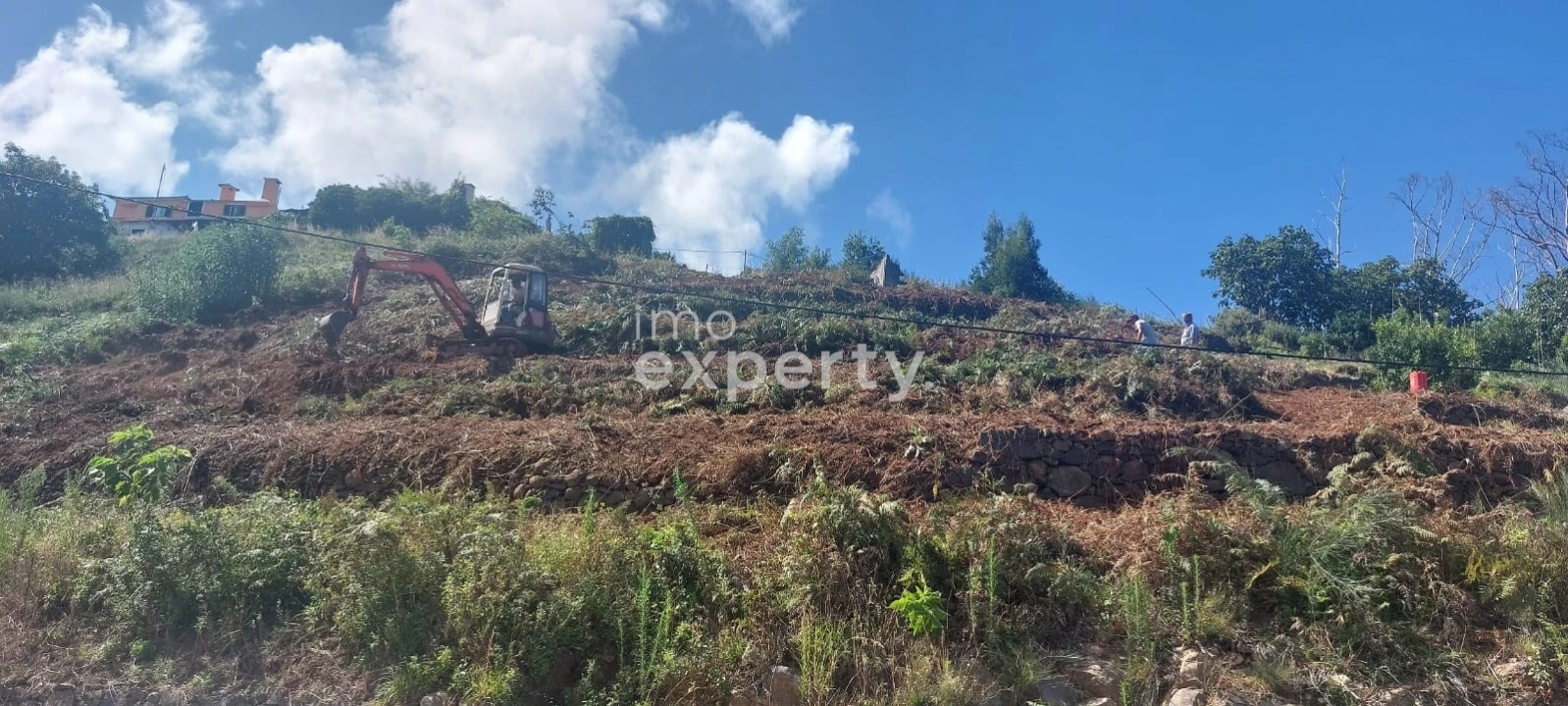 Terreno para Venda em Santa Cruz Foto 3