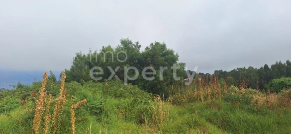 Terreno para Venda em Santa Cruz