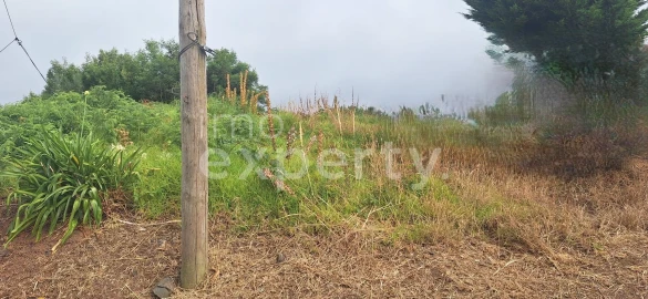 Terreno para Venda em Santa Cruz