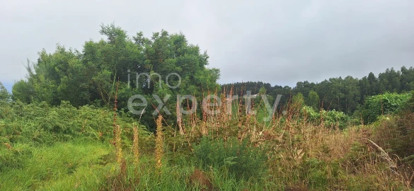 Terreno para Venda em Santa Cruz