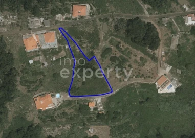 Terreno para Venda em Santa Cruz