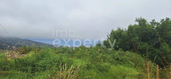 Terreno para Venda em Santa Cruz
