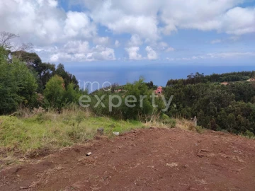 Terreno para Venda em Santa Cruz