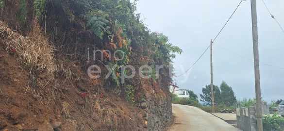 Terreno para Venda em Santa Cruz