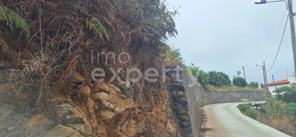 Terreno para Venda em Santa Cruz