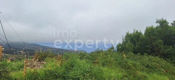 Terreno para Venda em Santa Cruz