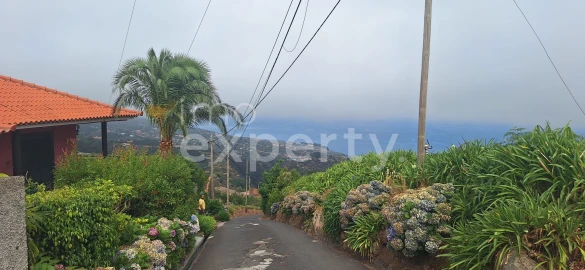 Terreno para Venda em Santa Cruz