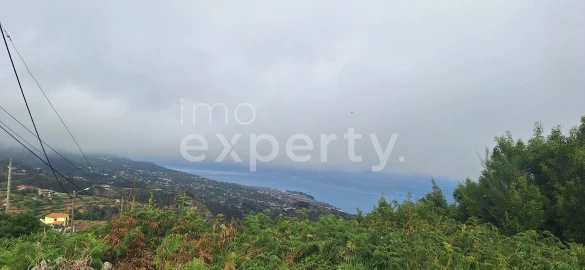Terreno para Venda em Santa Cruz