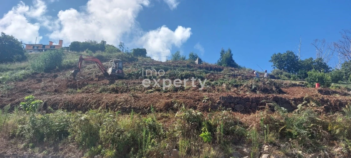 Terreno para Venda em Santa Cruz Foto 3