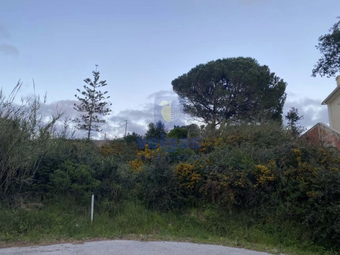 Terreno para Venda em Nadadouro Foto 5