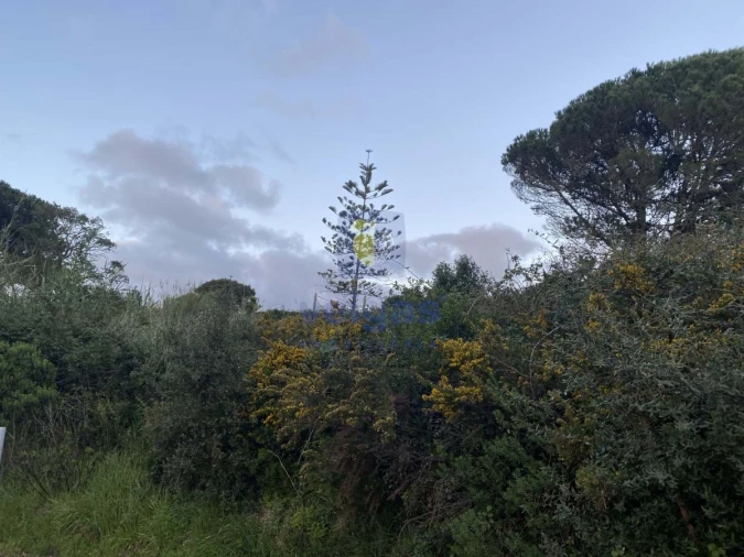 Terreno para Venda em Nadadouro Foto 7