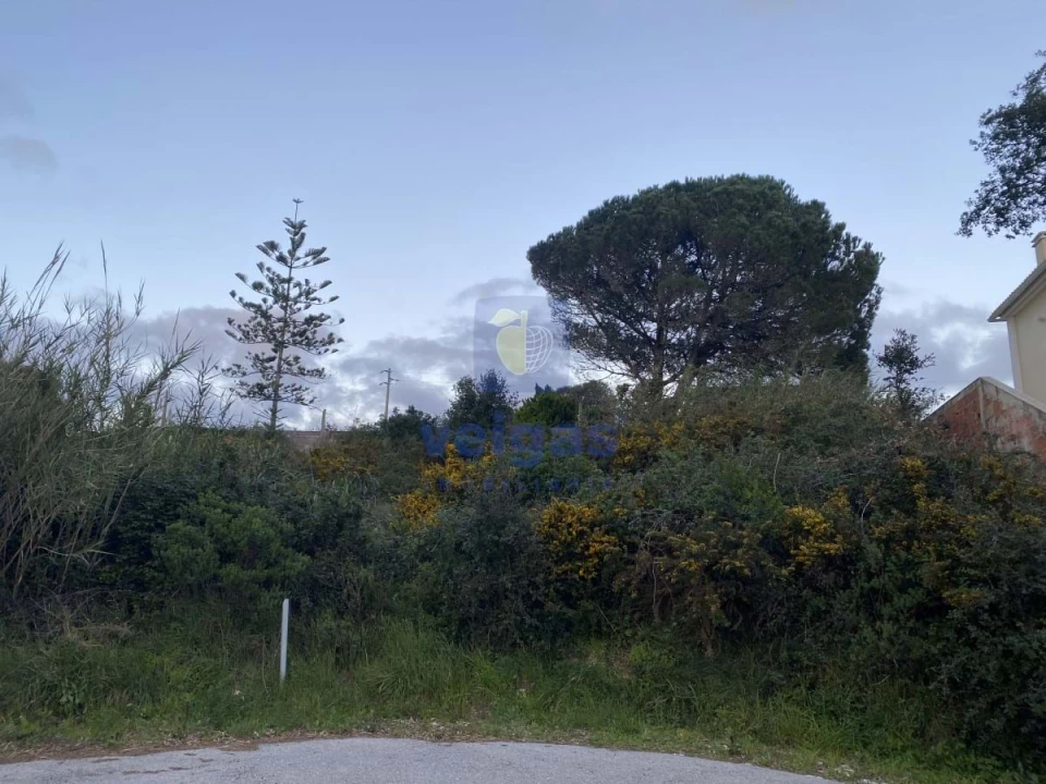 Terreno para Venda em Nadadouro Foto 5