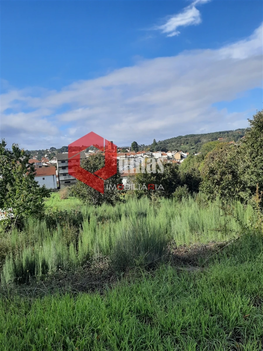 Terreno para Venda em Sabugal e Aldeia de Santo António Foto 1