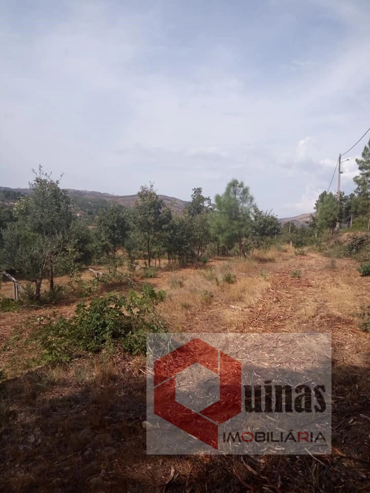 Quinta T0 para Venda em Vela Foto 1