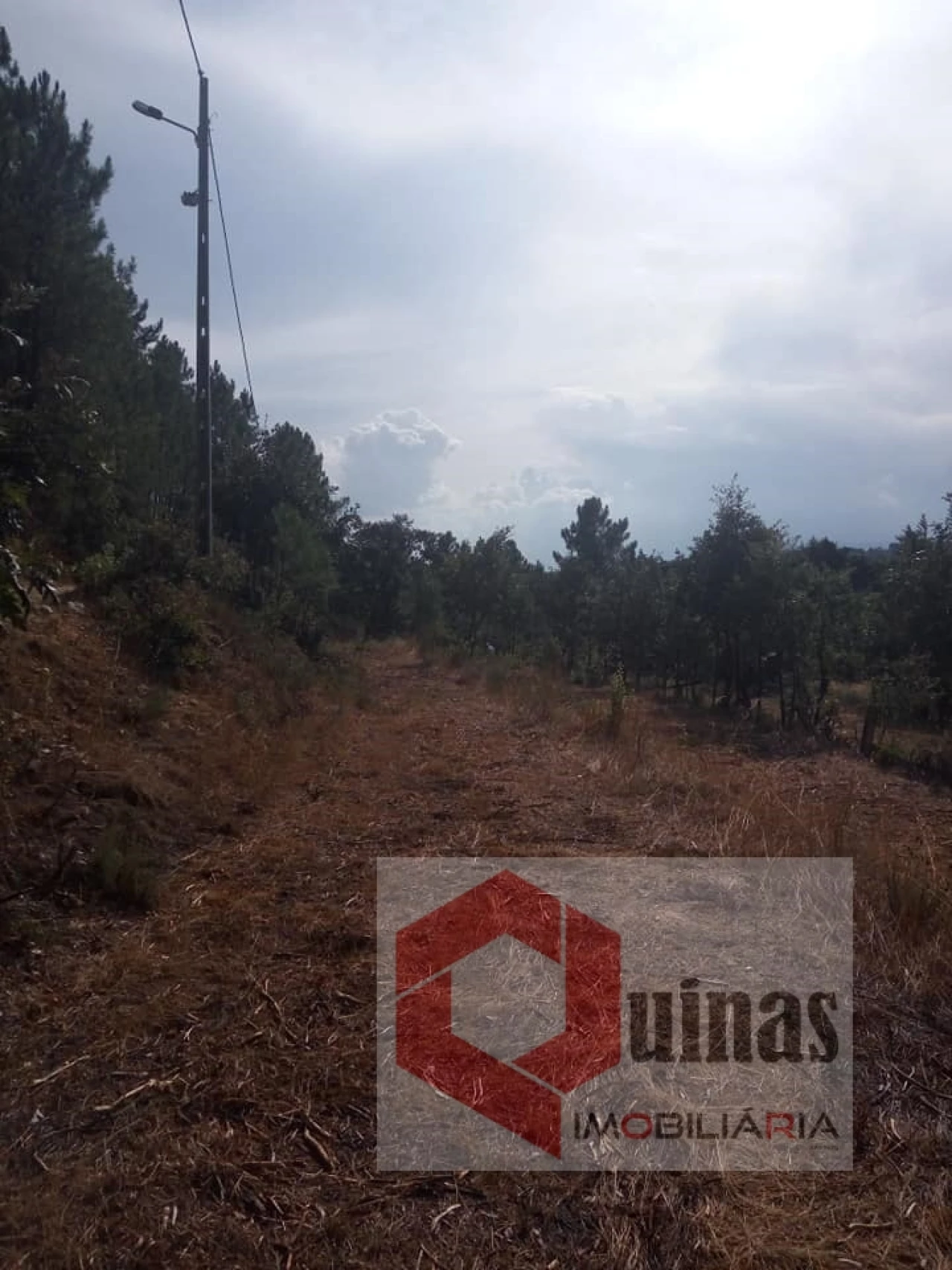 Quinta T0 para Venda em Vela Foto 7