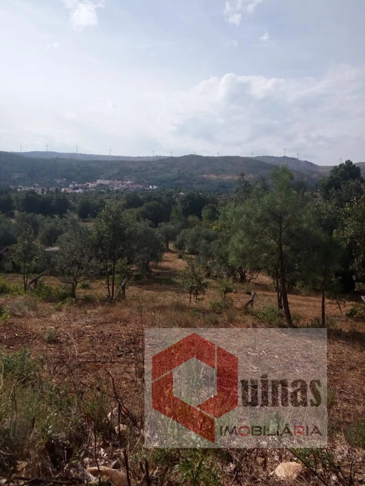 Quinta T0 para Venda em Vela Foto 4