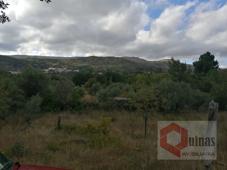 Quinta T0 para Venda em Vela Foto 15