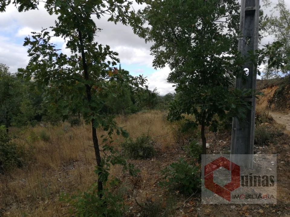 Quinta T0 para Venda em Vela Foto 10