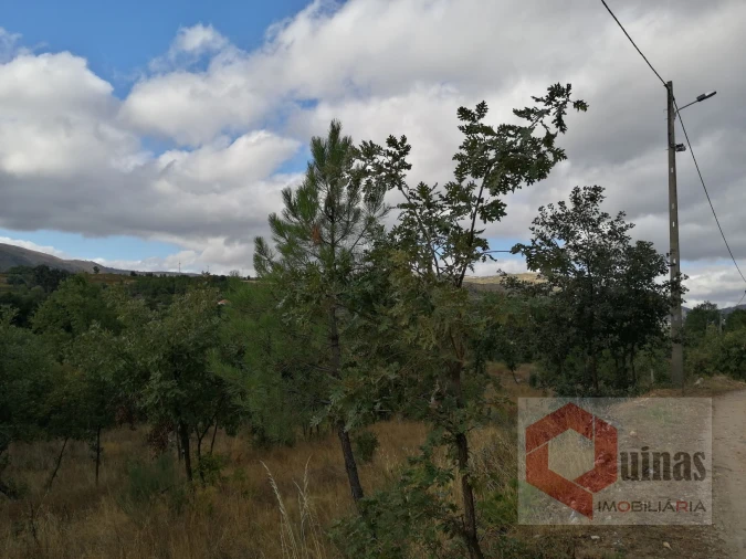 Quinta T0 para Venda em Vela Foto 13