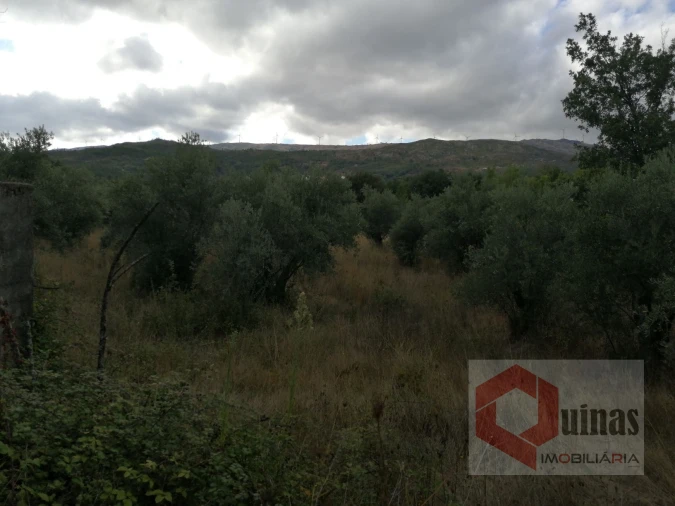 Quinta T0 para Venda em Vela Foto 19