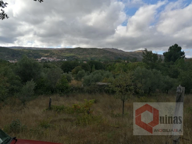 Quinta T0 para Venda em Vela Foto 15