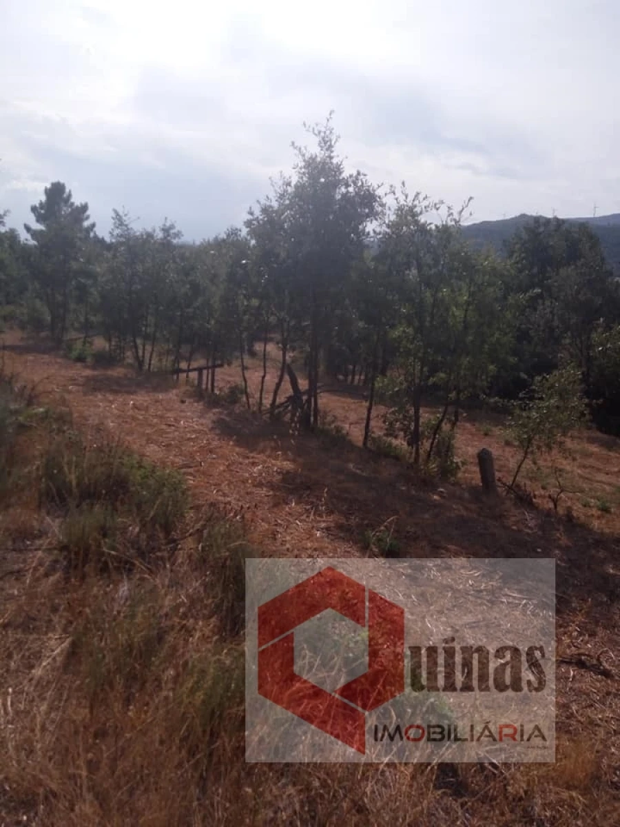 Quinta T0 para Venda em Vela Foto 9