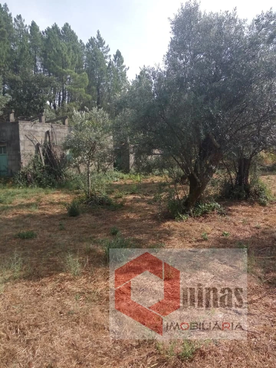 Quinta T0 para Venda em Vela Foto 3