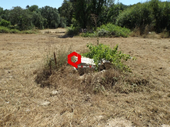 Moradia T3 para Venda em Pega Foto 31